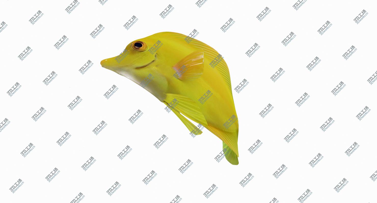 images/goods_img/2021040165/Yellow Tang (Animated) 3D model/5.jpg